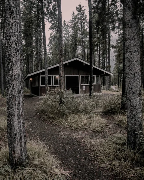 薄暗い色の木々に覆われた森の中の古い木造建築物の垂直ショット — ストック写真