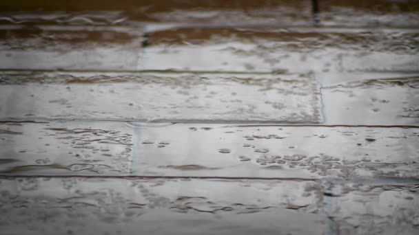 Regentropfen Fallen Auf Alten Ziegelboden — Stockvideo