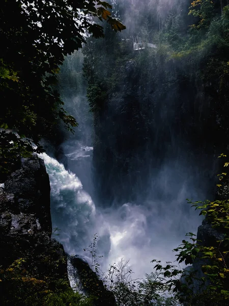Vertikální Záběr Vodopádu Obklopeného Mlžným Lesem Ostrově Vancouver — Stock fotografie