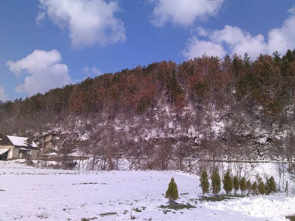 一张美丽的山的照片 在雪地的草地附近有树木 — 图库照片