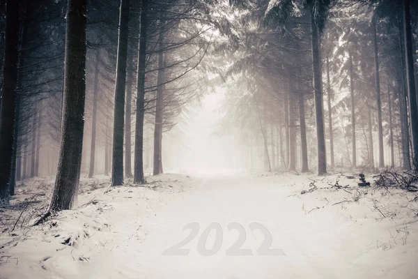 Camino Invierno Con Año Impreso 2022 —  Fotos de Stock