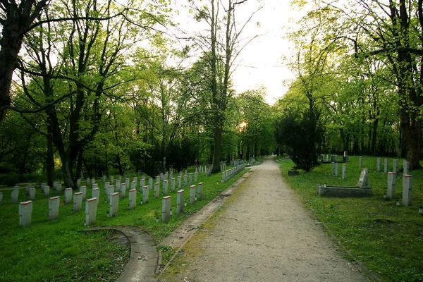 Cementerio Soldados Soviéticos Citadela Park Poznan Polonia —  Fotos de Stock