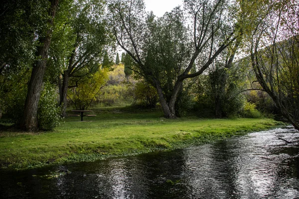 Uma Vista Natural Rio Calmo Vegetação Árvores Parque — Fotografia de Stock