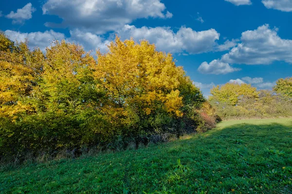 Schöne Aufnahme Einer Landschaft Unter Wolkenverhangenem Himmel Herbst — Stockfoto