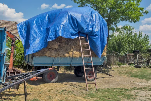 Trailer Geladen Met Hooi Voor Het Voeren Van Koeien Schapen — Stockfoto