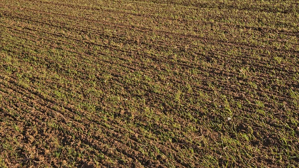 Een Prachtige Opname Van Een Adembenemend Landschap Overdag — Stockfoto