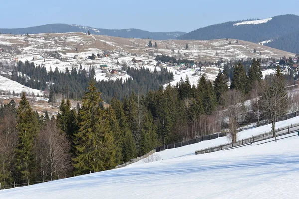 Hermoso Paisaje Con Campos Cubiertos Nieve Bosques Abeto — Foto de Stock