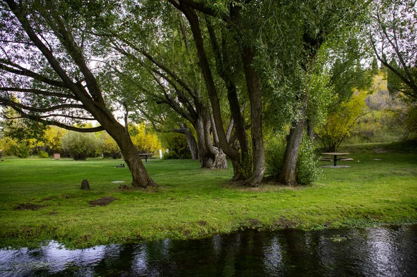 平静的河流 绿地和公园里的树木的自然景观 — 图库照片