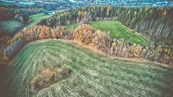 Живописный Вид Поле Окруженное Пышными Деревьями Осенью — стоковое фото