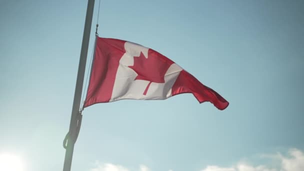 Flags Canada Waving — Stock video