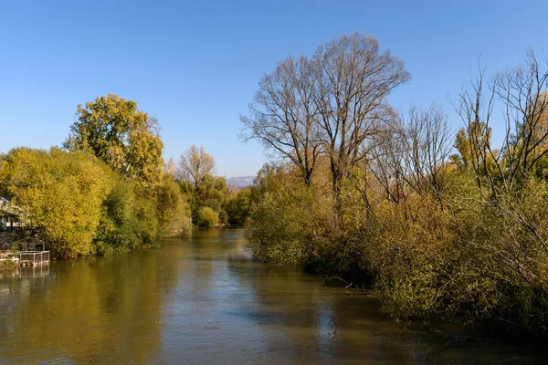 Naturskön Utsikt Över Sjö Skog Omgiven Lummig Natur — Stockfoto