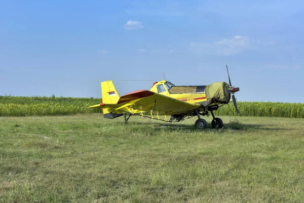 Zrenjanin Serbie Srpna 2015 Staré Letadlo Zelené Louce Zrenjanin Ecka — Stock fotografie