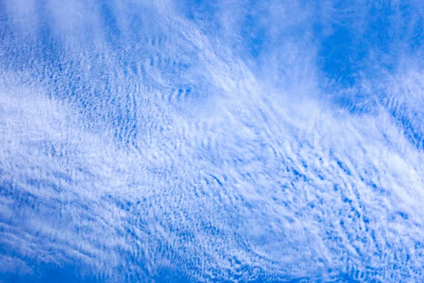 Ένα Χαμηλό Πλάνο Γωνία Ενός Μπλε Συννεφιασμένο Ουρανό Μια Ηλιόλουστη — Φωτογραφία Αρχείου