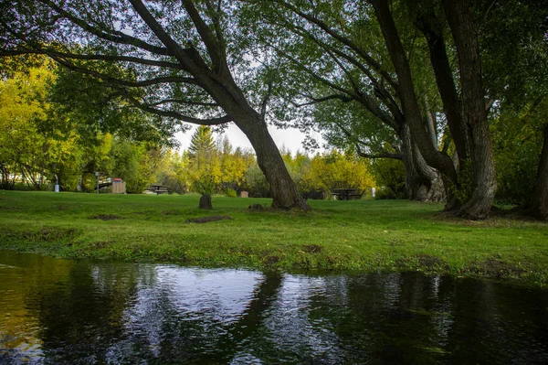 Естественный Вид Спокойную Реку Зелень Деревья Парке — стоковое фото