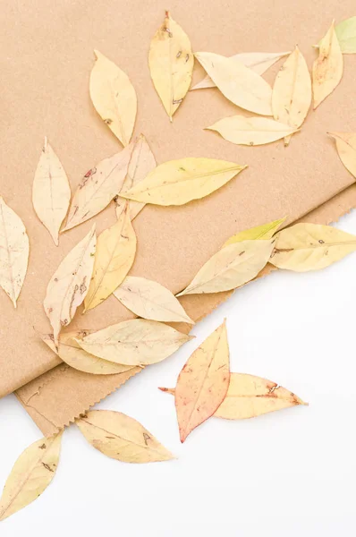 Decorative Background Yellow Autumn Leaves Brown Paper White Background Text — Fotografia de Stock