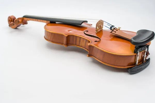 白色背景上带有文字空间的精美小提琴乐器 — 图库照片