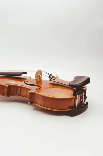 배경에 바이올린 — 스톡 사진