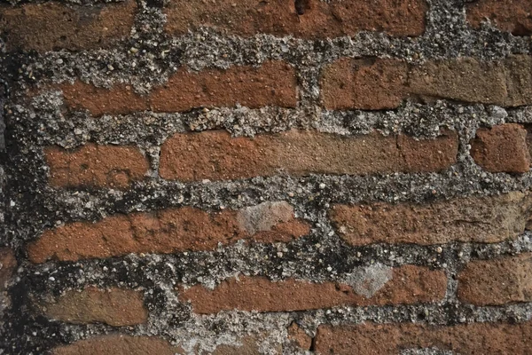 Hindistan Arkaplan Dokusu Için Çimentoyla Bağlanmış Kırmızı Tuğla Duvarı Resmi — Stok fotoğraf