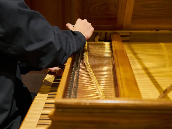 Musician tunes historical harpsichord cembalo with his hands before the concert. View inside the harpsichord on the tailpiece.