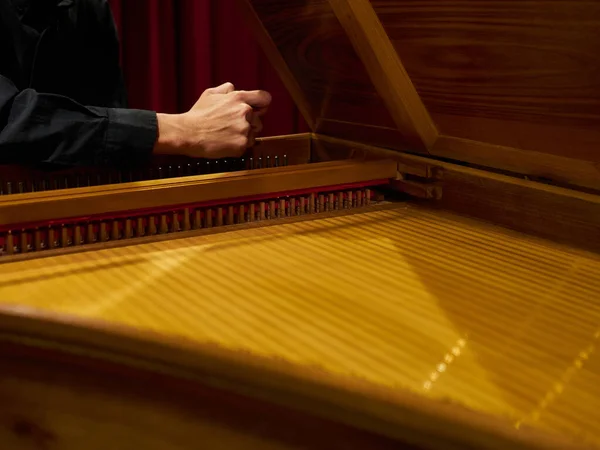 Musician Tunes Historical Harpsichord Cembalo His Hands Concert View Harpsichord — Zdjęcie stockowe