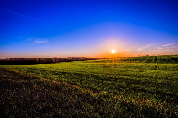 Una Hermosa Puesta Sol Brillante Sobre Prado Verde — Foto de Stock