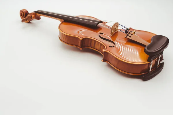 白色背景上带有文字空间的精美小提琴乐器 — 图库照片