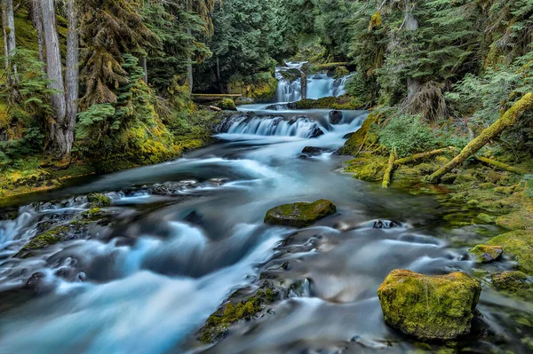 Mckenzie River Central Oregon — Stock Photo, Image