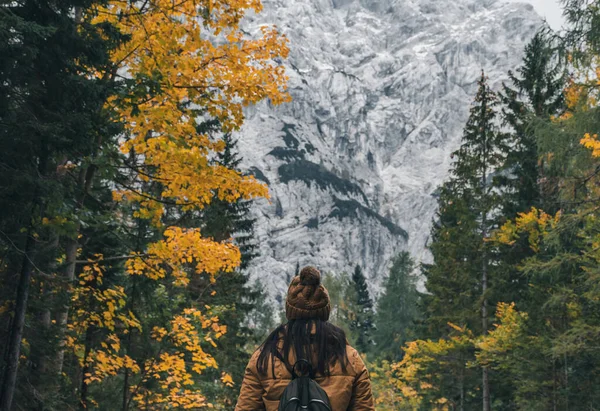 后视镜下的女徒步旅行者走在通向神奇山脉的路上 斯洛文尼亚弗尔希奇山口森林的秋天和秋天的色彩 — 图库照片