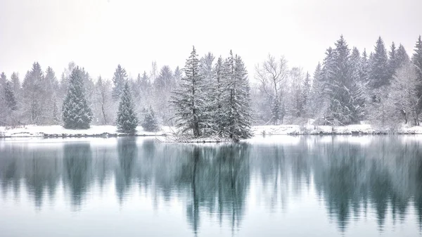 美丽的风景 在白雪覆盖的海岸上 冰封着树木 冰封的湖面 — 图库照片