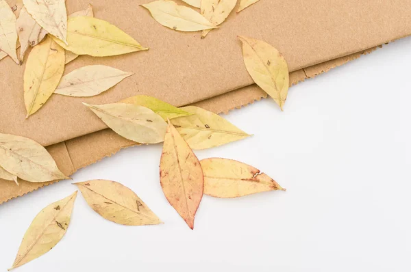 Decorative Background Yellow Autumn Leaves Brown Paper White Background Text — Foto Stock