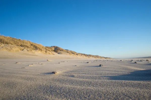 Krásné Duny Pobřeží Severního Moře Dánsku — Stock fotografie