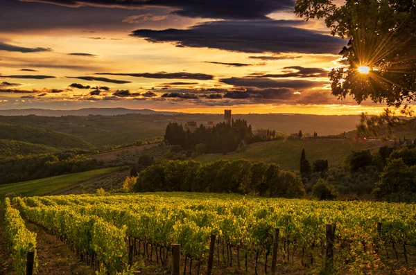 Tavarnelle Val Pesa Firenze Italien Oktober 2021 Badia Passignano Chianti — Stockfoto