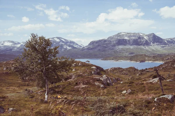 Hermoso Paisaje Lago Rodeado Montañas Noruega — Foto de Stock