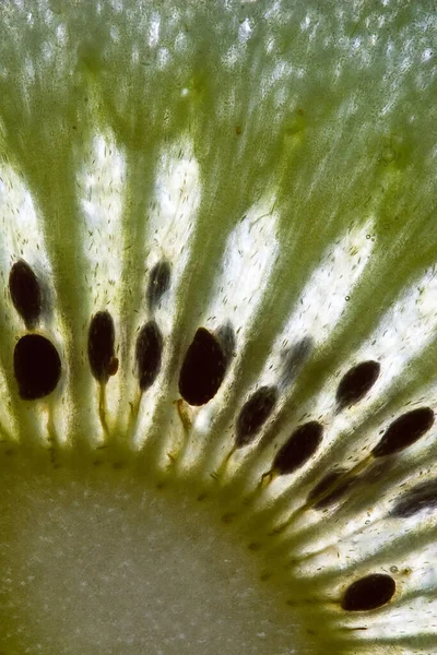 Eine Vertikale Aufnahme Einer Reifen Kiwi Scheibe Unter Den Lichtern — Stockfoto