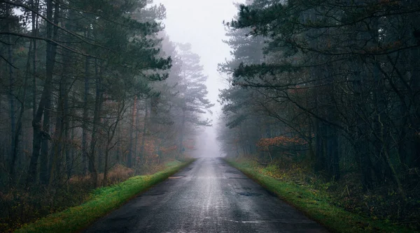 Una Vista Panorámica Camino Asfalto Bosque Niebla Bakony Hungría —  Fotos de Stock