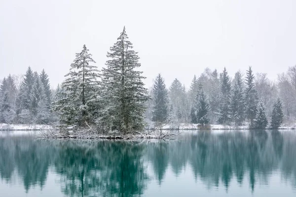 美丽的风景 在白雪覆盖的海岸上 冰封着树木 冰封的湖面 — 图库照片