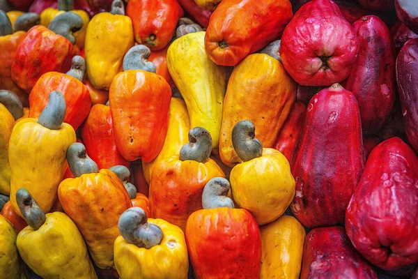 Assorted Peppers Farmer Market San Jose Costa Rica — Stock Photo, Image