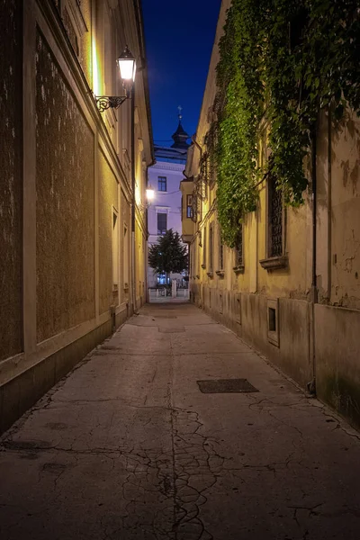 Μια Κάθετη Εικόνα Μιας Νυχτερινής Προβολής Της Πόλης Gyor Στην — Φωτογραφία Αρχείου