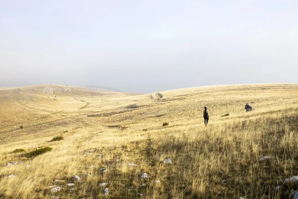 Een Prachtig Landschap Van Een Gele Weide Met Bewolkte Lucht — Stockfoto