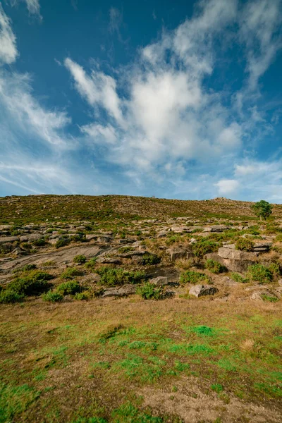 Dry Arid Nature Serra Arga Viana Castelo Portugal — Stock fotografie