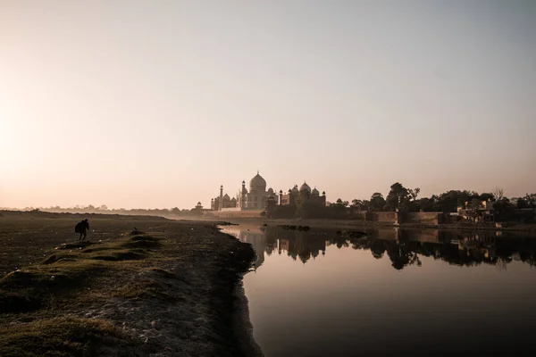 Taj Mahal Unesco World Heritage Site Agra India — Stock Photo, Image