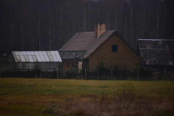 Old Wooden Barns Surrounded Bare Trees Gloomy Day Countryside — стоковое фото