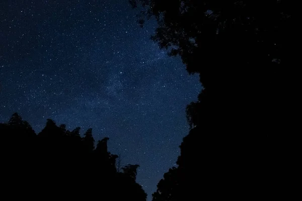 Έναστρος Ουρανός Μέσα Από Δέντρα Μέσα Από Ιερό Που Ονομάζεται — Φωτογραφία Αρχείου