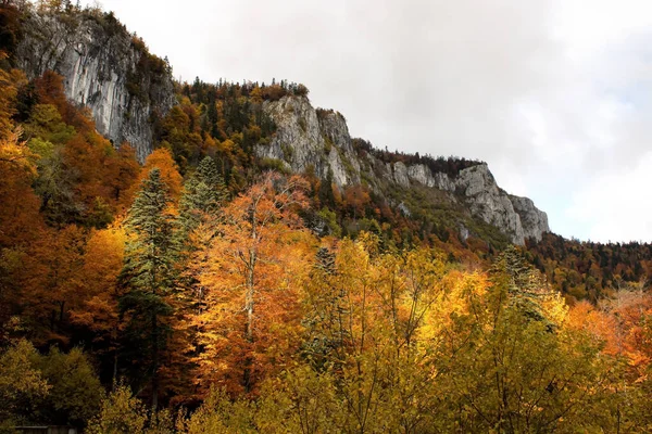 Beautiful View Autumn Trees Rocky Mountains Cloudy Sky — Stockfoto
