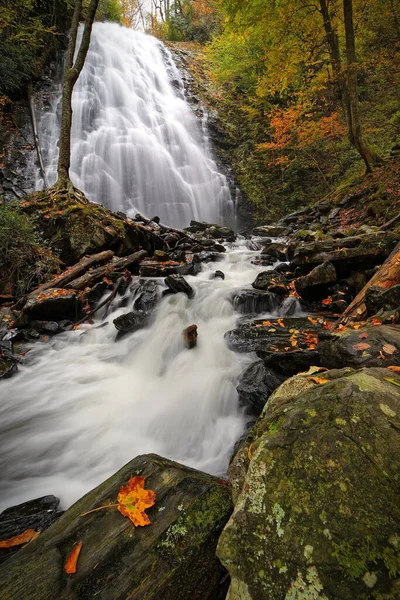 Vertikal Bild Ett Vattenfall Skogen — Stockfoto