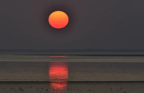 Beautiful Bright Sunset Waddensee Denmark — Fotografia de Stock
