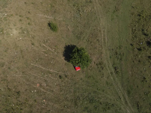 Aerial View Green Field Tree Red Car — Zdjęcie stockowe