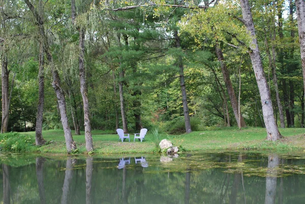 Beautiful Shot Small Lake Chairs Green Park — Stockfoto