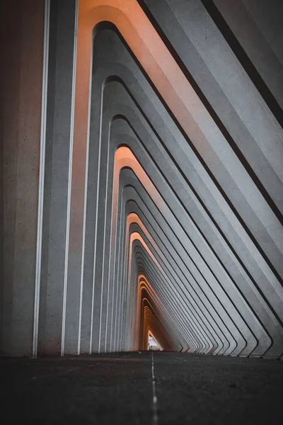 Vertical Shot Liege Guillemins Station Design France — ストック写真