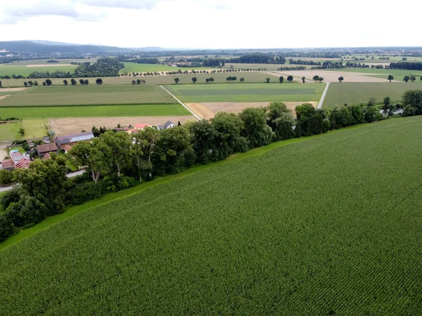 Aerial Shot Farmlands Summer — Stock fotografie